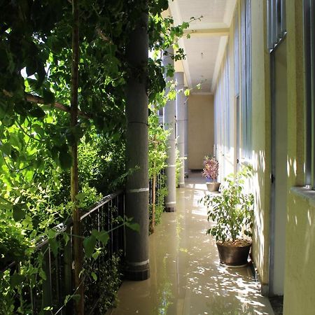 Bahir Dar Backpackers Hostel ภายนอก รูปภาพ